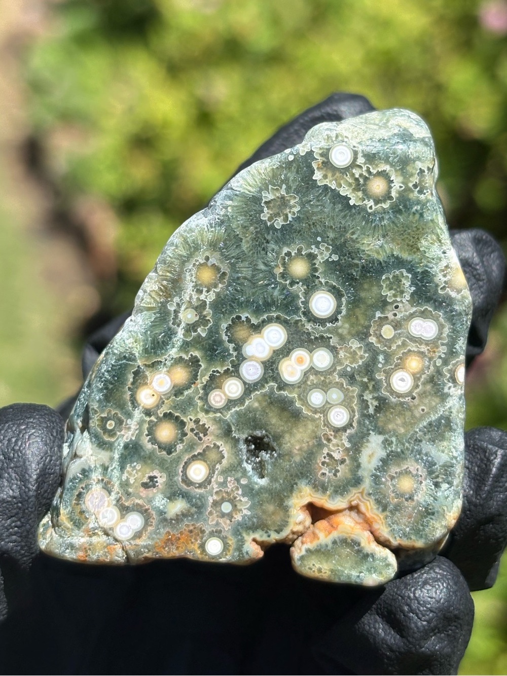 Ocean Jasper Crystal Freeform - Polished Sea Jasper - Orbicular Jasper